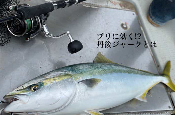 丹後ジャークのコツを実演解説！二枚潮&低活性な青物に効く必殺