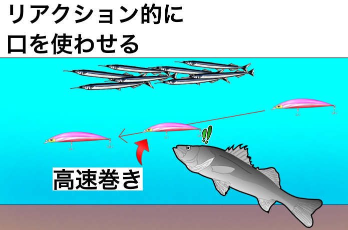 サヨリパターンの釣り方（リアクション）
