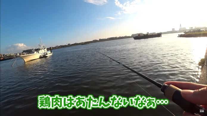 ハゼ釣り　エサ　サラダチキン　試してみた
