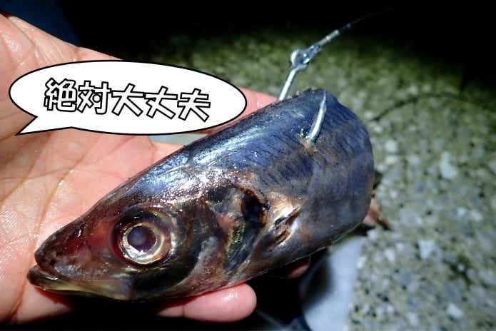 100kgのマダラエイ”を追い求めて。これぞ巨大怪魚釣りの醍醐味！ | 【TSURI HACK】日本最大級の釣りマガジン - 釣りハック