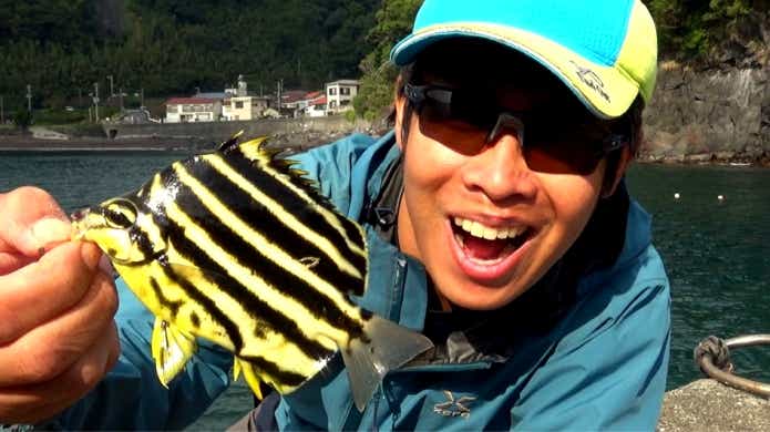 カゴカキダイ　狙って　釣る