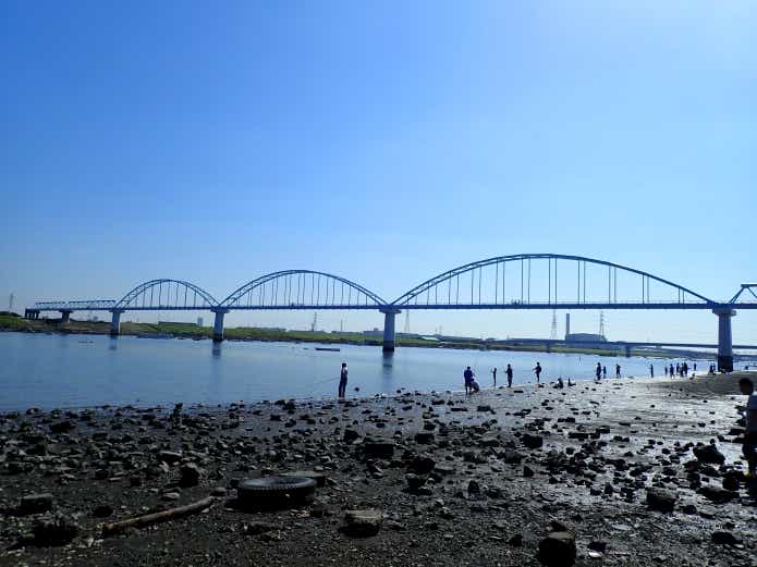 ハゼ釣り　多摩川