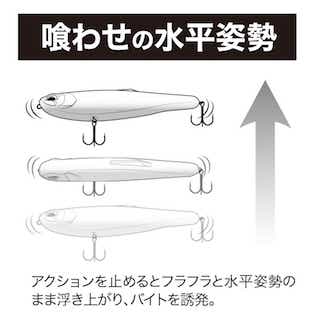 コノフラット　浮き上がり姿勢