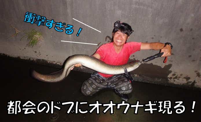 温泉施設 温排水