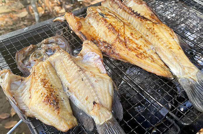 ウイスキー醤油漬けの一夜干し