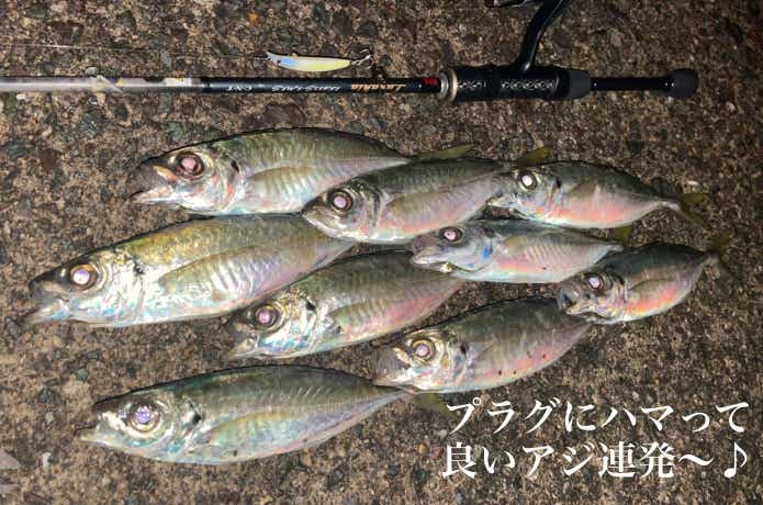 アジング向けプラグの釣果