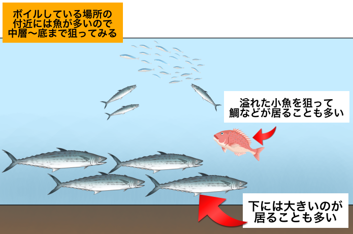 ボトムも意識する