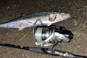 【総額1.5万以上】リール7点セット　※早いもの勝ちです 早い者勝ち！DAIWA REVROS LT 6000D-H リール - メルカリ