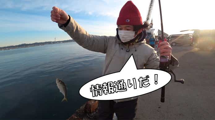 真冬　堤防　アジ釣り