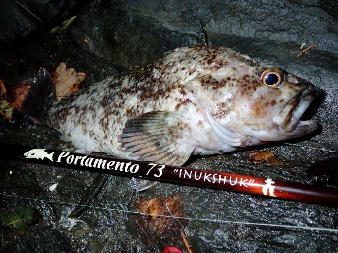 冬 釣り ブッコミ ターゲット 対象魚 根魚