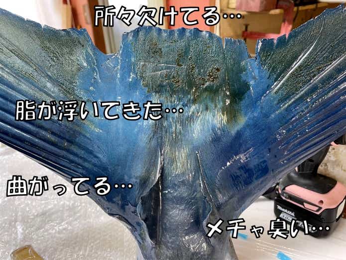 魚　剥製　失敗例