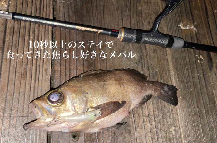 ステイも有効