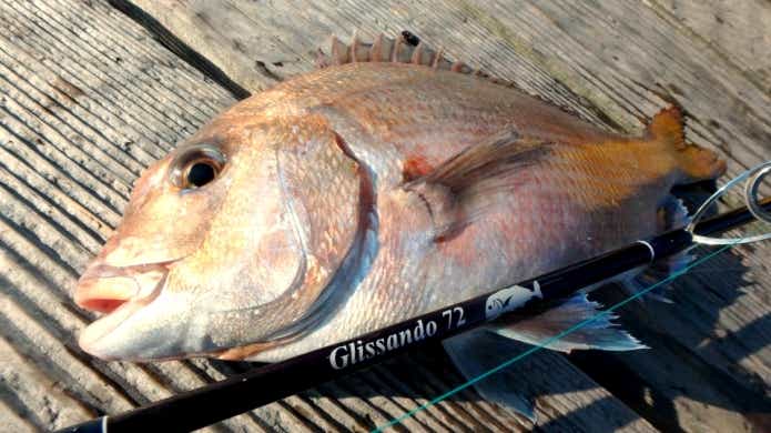 お正月 魚