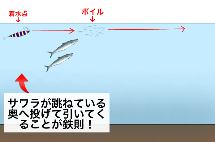 キャストの狙い目