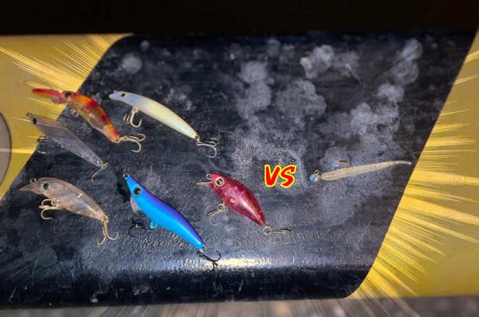 プラグvsワーム