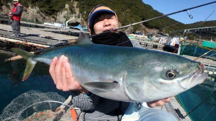 海上釣り堀 ブリ