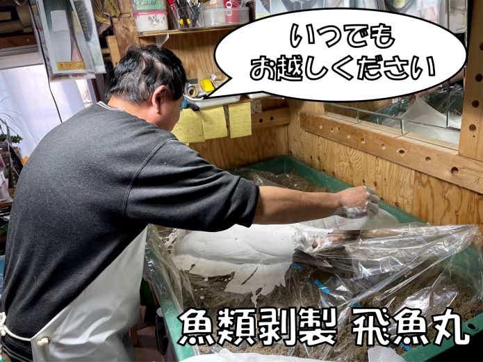 魚剥製　職人