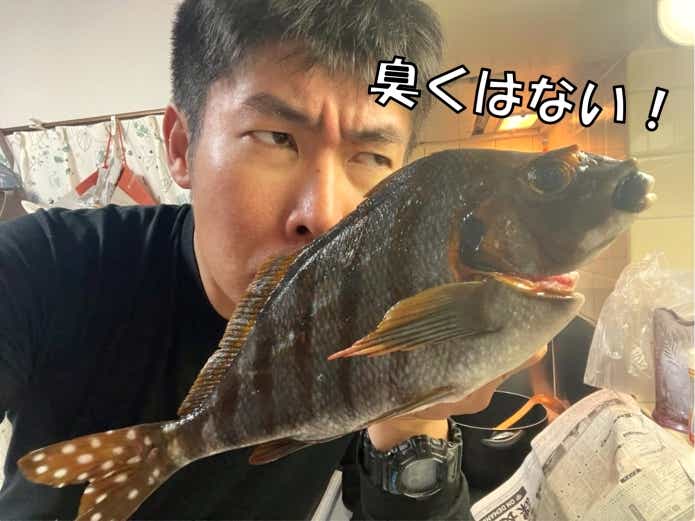 タカノハダイ　臭い