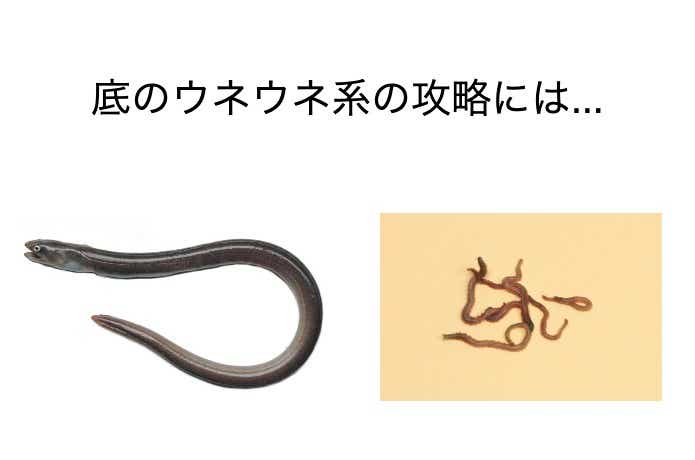 ノレソレとゴカイ