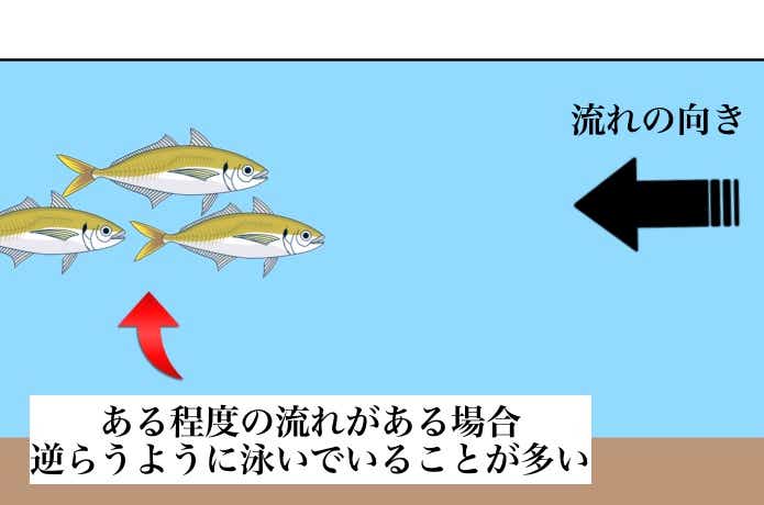アジと流れの向き