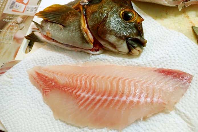 タカノハダイ刺身　臭い対策