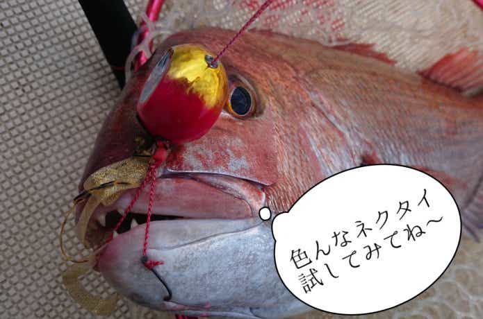 タイラバの釣果