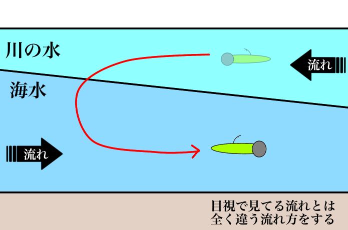塩水くさび