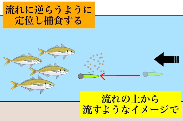アジングのドリフト