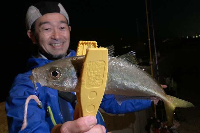 アジ