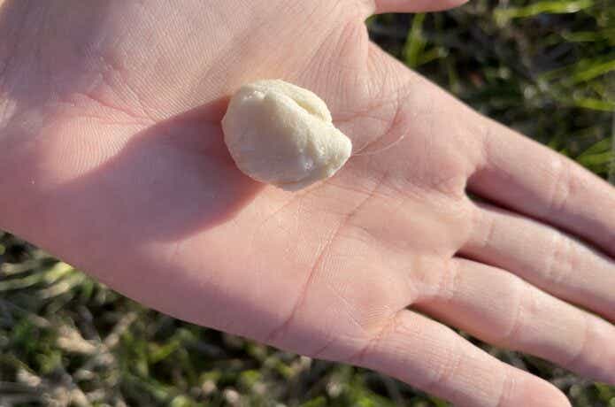 自家製練りエサ　釣り
