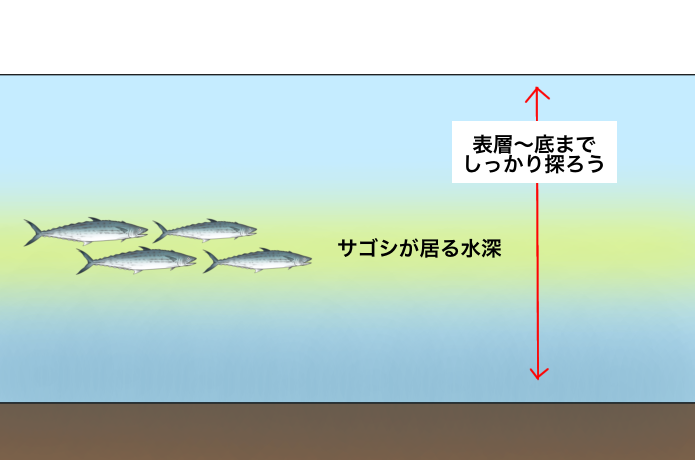 中層やボトム