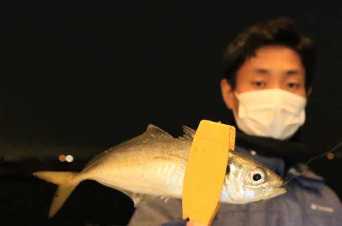 アジ