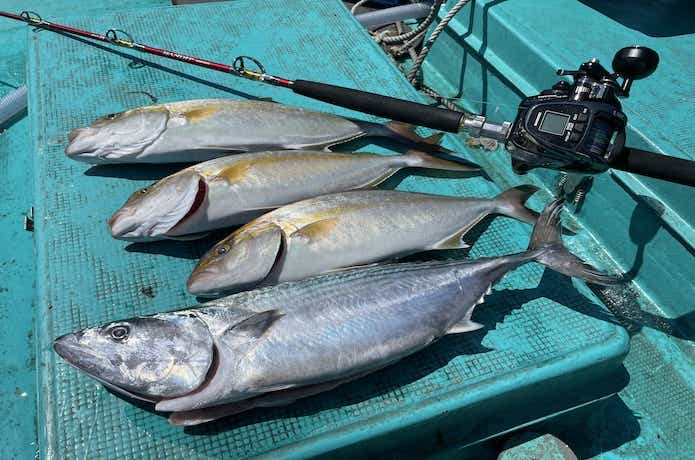 ビーストマスター2000EJでの釣果
