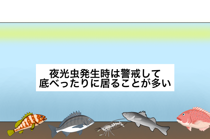 ボトムレンジ