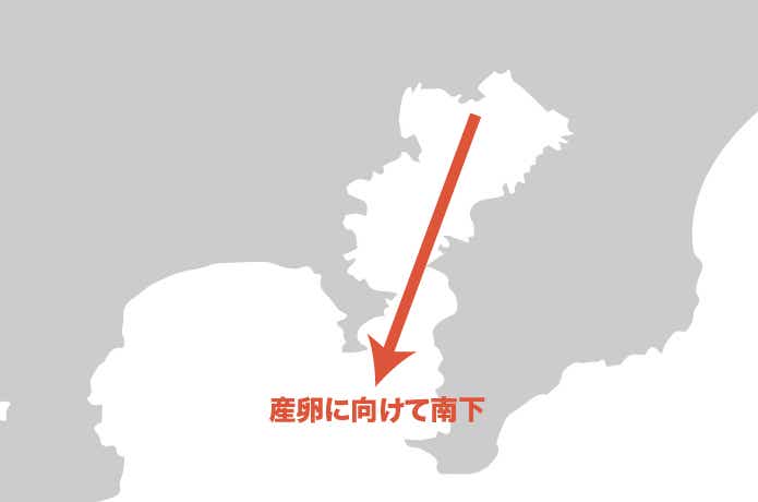 シーバスは産卵に向けて南下