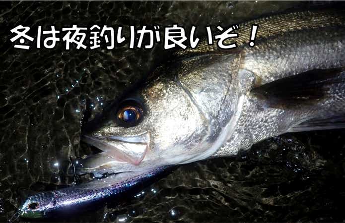 冬 夜釣り 釣れる