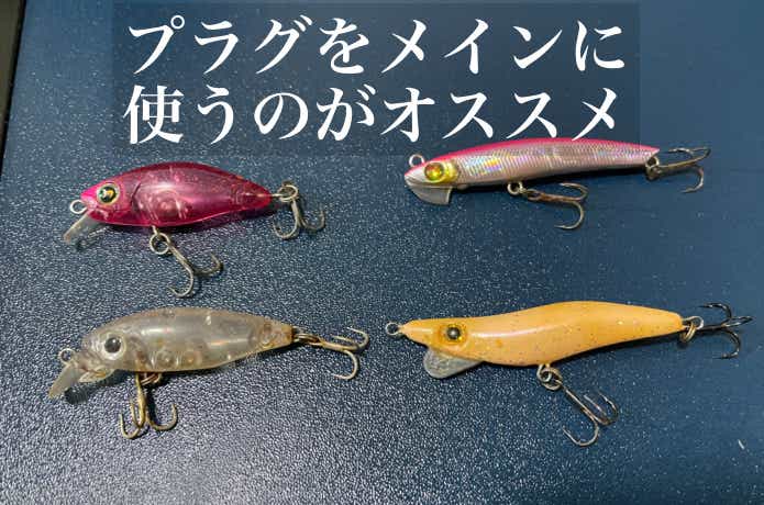 夜光虫ではプラグ