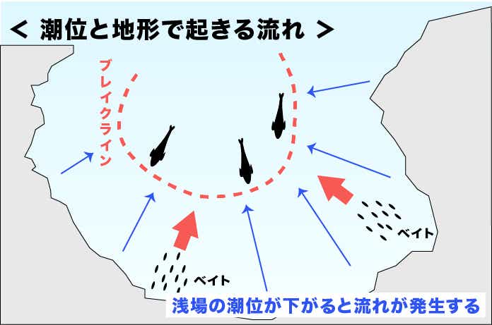 地形と潮位でできる流れ（図解）