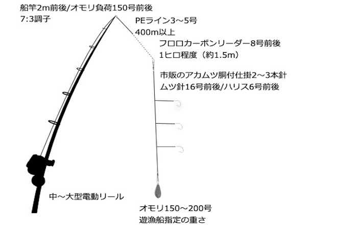 赤ムツの仕掛け図の画像