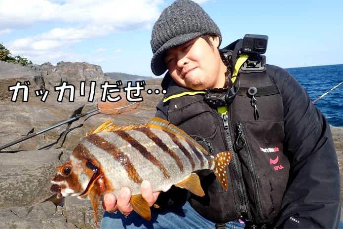 イシガキダイ釣り　外道　タカノハダイ