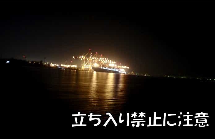 温排水 釣り 注意点