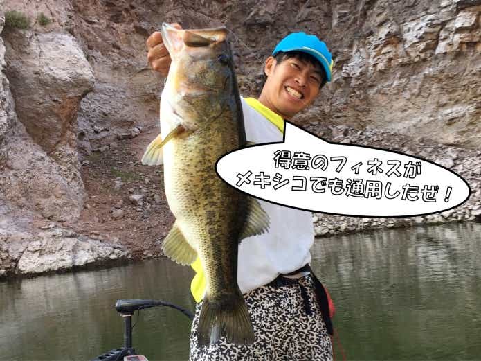 メキシコ 遠征 バス