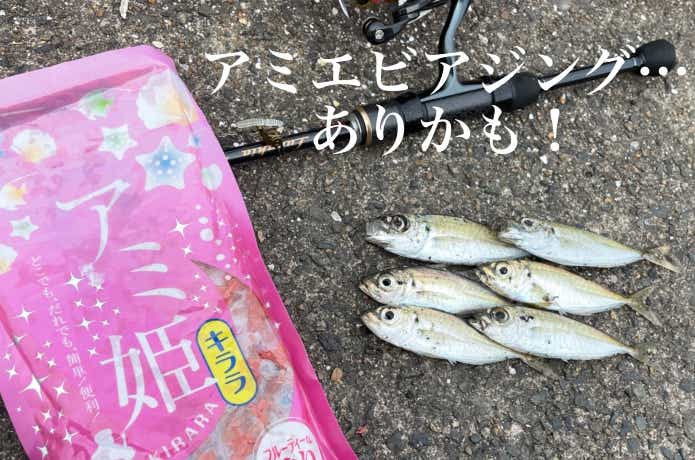アミエビアジングで釣れたアジ