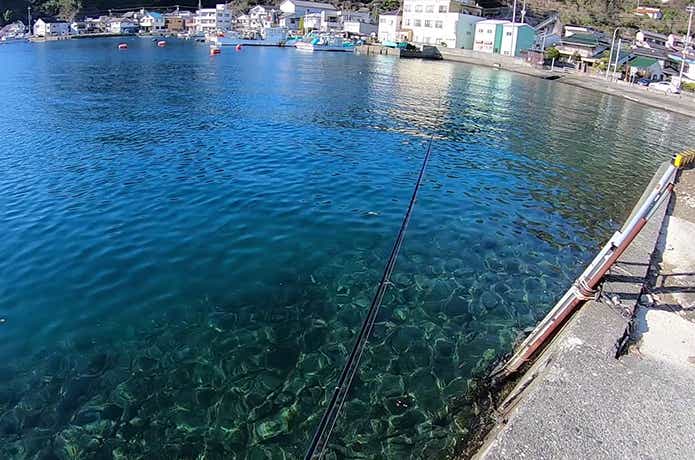日中のカサゴ釣り