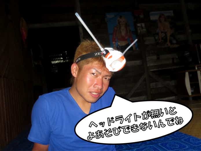 ヘッドライトの重要性