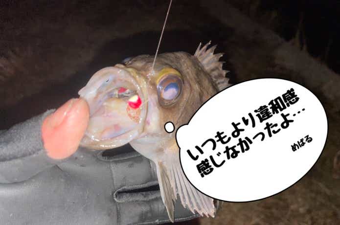ジグヘッドで釣れたメバル