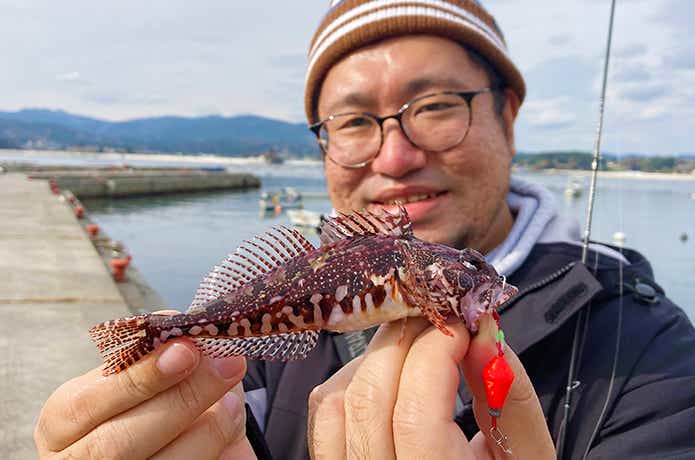 お魚ガブッちょとアナハゼ
