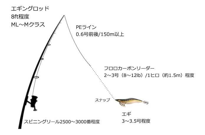 コウイカの仕掛け図の画像