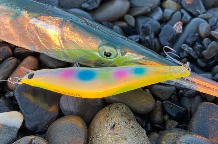 ハイマニューバで釣ったダツ