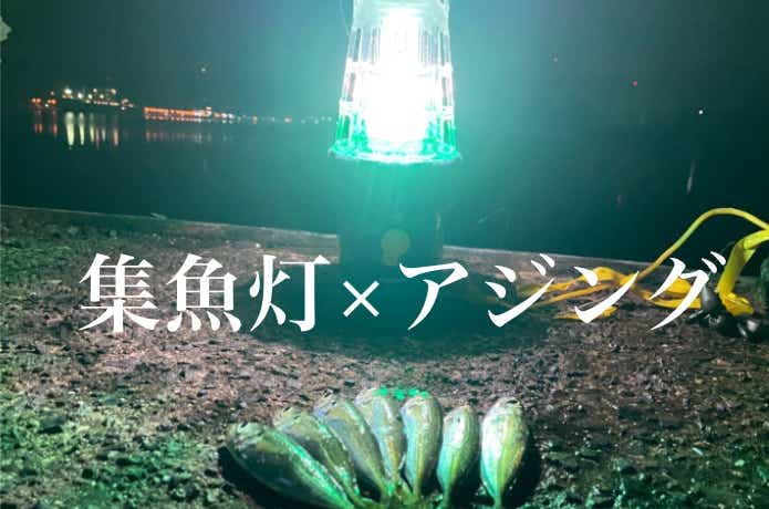 集魚灯アジングの効果を検証してみた！光とアジの興味深い関係を発見 | 【TSURI HACK】日本最大級の釣りマガジン - 釣りハック